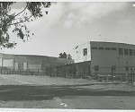 צילום: פוטו ארצי 336/29